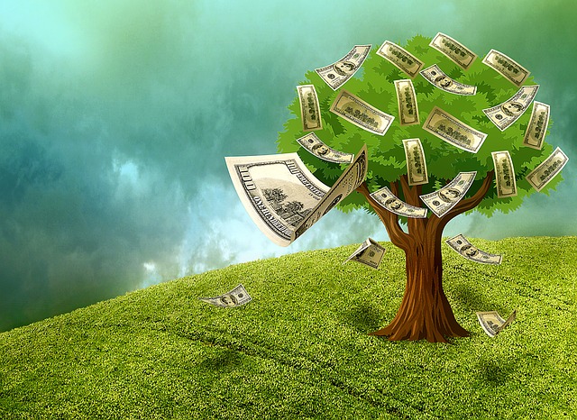 strom s penězi.jpg